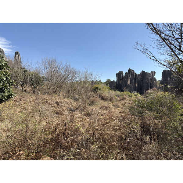 Picture China Shilin Stone Forest 2026-01 120 - Journey Shilin Stone Forest