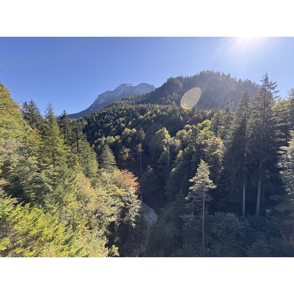 Picture Germany Neuschwanstein 2025-09 8 - Journey Neuschwanstein