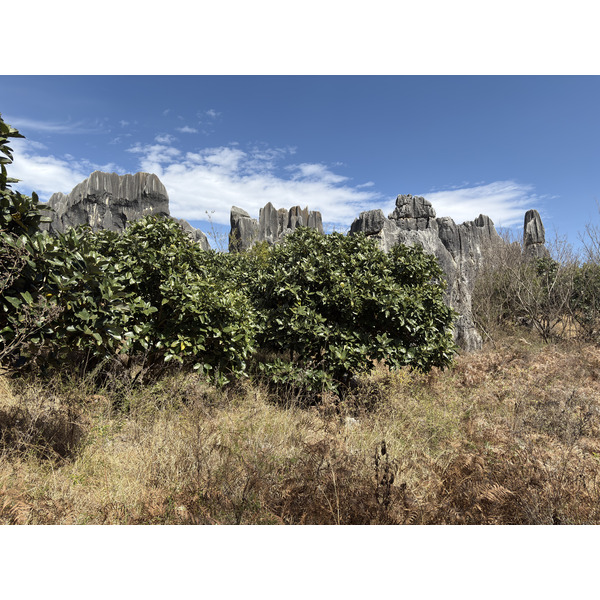 Picture China Shilin Stone Forest 2026-01 167 - Discovery Shilin Stone Forest