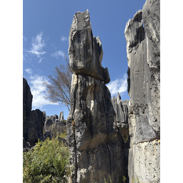Picture China Shilin Stone Forest 2026-01 248 - Center Shilin Stone Forest