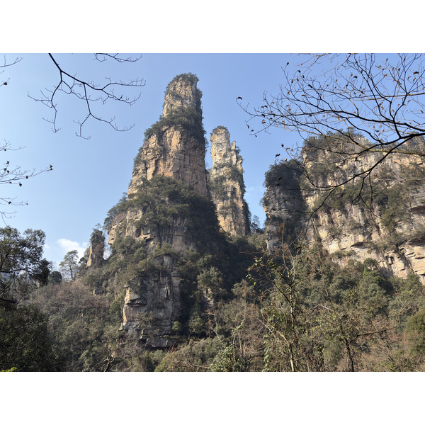 Picture China Zhangjiajie Tianzi Mountrain 2026-01 173 - Tours Tianzi Mountrain