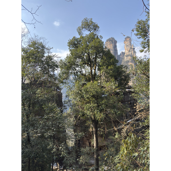 Picture China Zhangjiajie Tianzi Mountrain 2026-01 238 - Tours Tianzi Mountrain