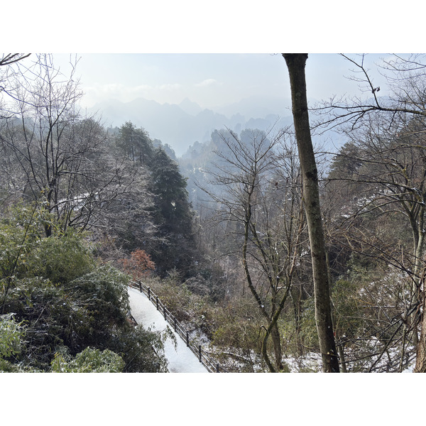 Picture China Zhangjiajie Tianzi Mountrain 2026-01 320 - Center Tianzi Mountrain