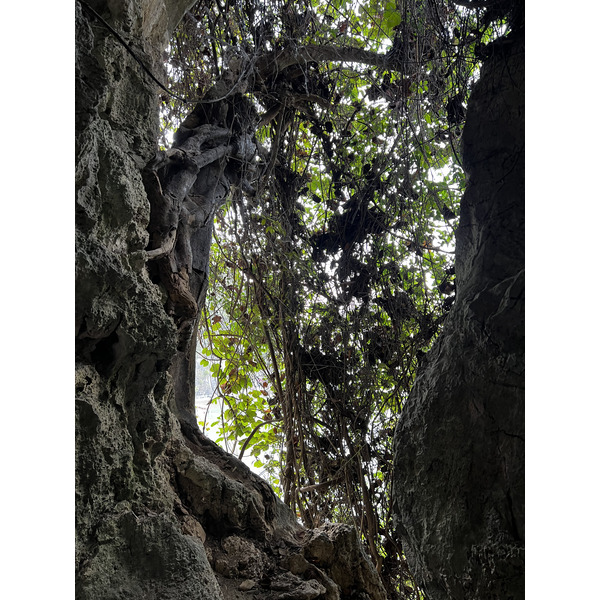 Picture Vietnam Ha Long Bay Sung Sot Cave 2024-01 38 - Discovery Sung Sot Cave