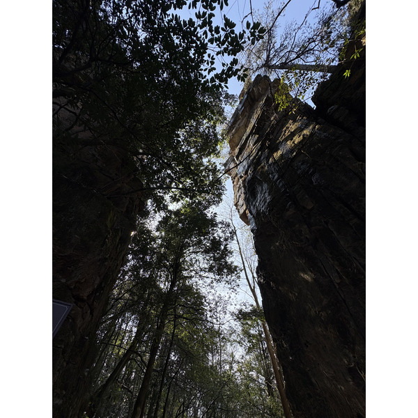 Picture China Zhangjiajie Tianzi Mountrain 2026-01 428 - Discovery Tianzi Mountrain