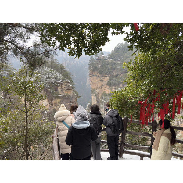 Picture China Zhangjiajie 2026-01 75 - Center Zhangjiajie