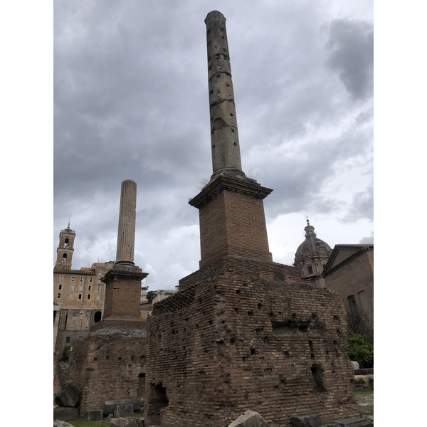 Picture Italy Rome Roman Forum 2024-09 23 - Around Roman Forum
