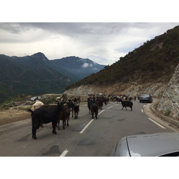Picture France Corsica Valle d'alesani 2017-07 2 - Recreation Valle d'alesani