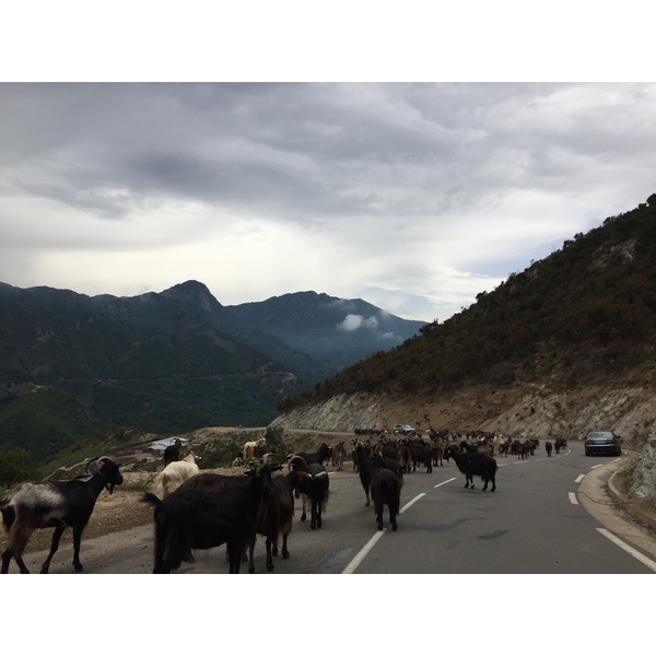 Picture France Corsica Valle d'alesani 2017-07 1 - Tour Valle d'alesani