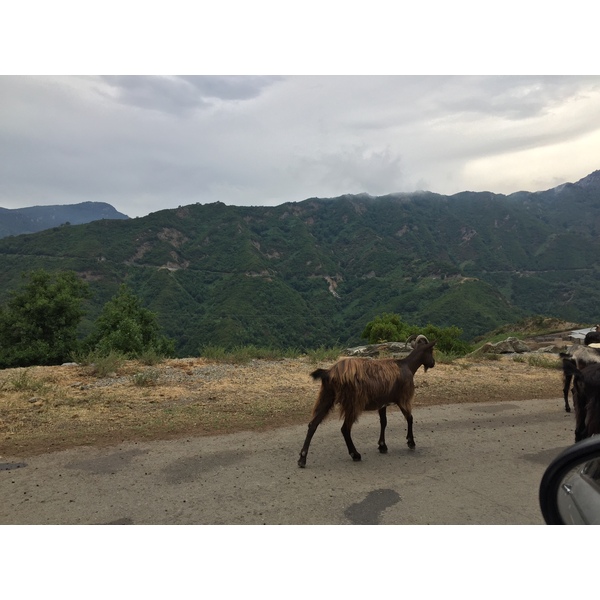 Picture France Corsica Valle d'alesani 2017-07 9 - Recreation Valle d'alesani