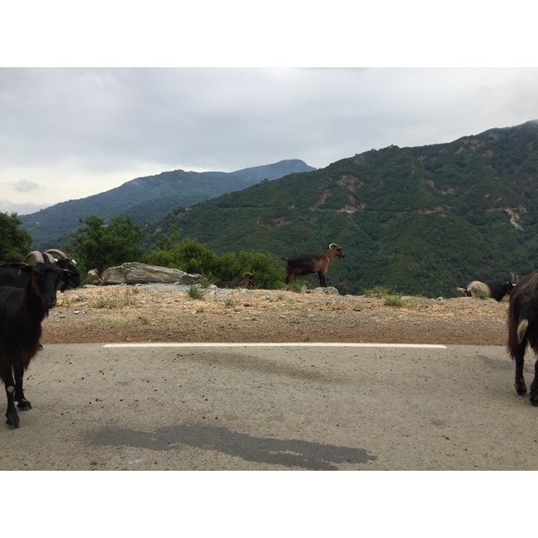 Picture France Corsica Valle d'alesani 2017-07 6 - Center Valle d'alesani