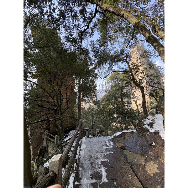 Picture China Zhangjiajie Tianzi Mountrain 2026-01 282 - Discovery Tianzi Mountrain