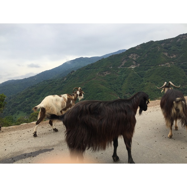 Picture France Corsica Valle d'alesani 2017-07 18 - History Valle d'alesani