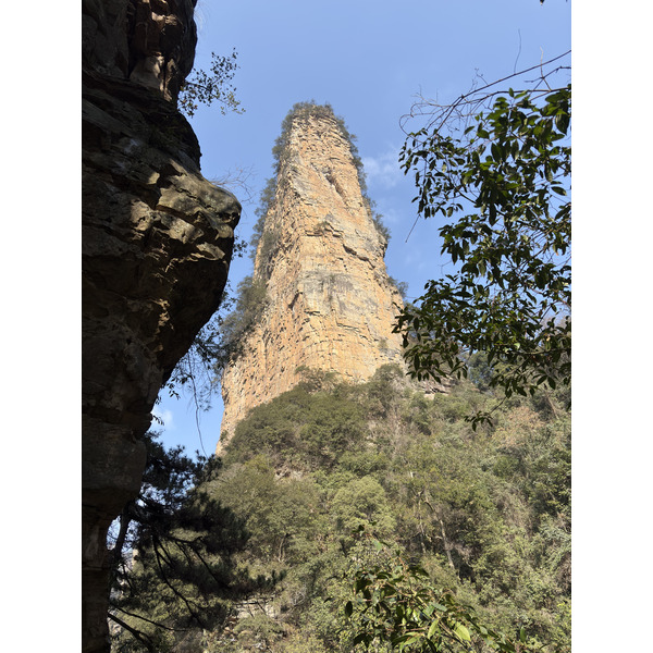 Picture China Zhangjiajie Tianzi Mountrain 2026-01 101 - Tours Tianzi Mountrain