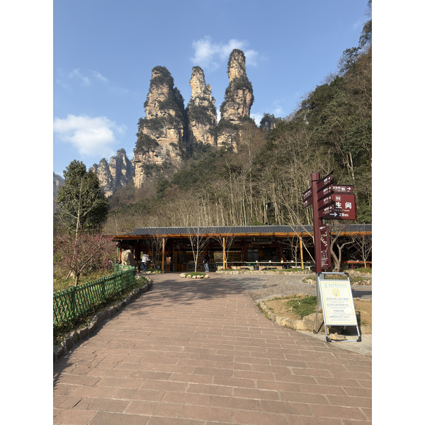 Picture China Zhangjiajie Tianzi Mountrain 2026-01 234 - Center Tianzi Mountrain
