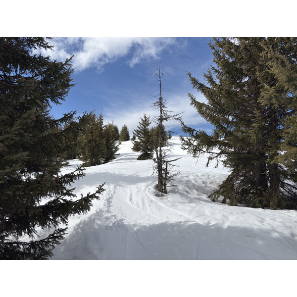 Picture France Praz sur Arly 2025-02 67 - Tours Praz sur Arly