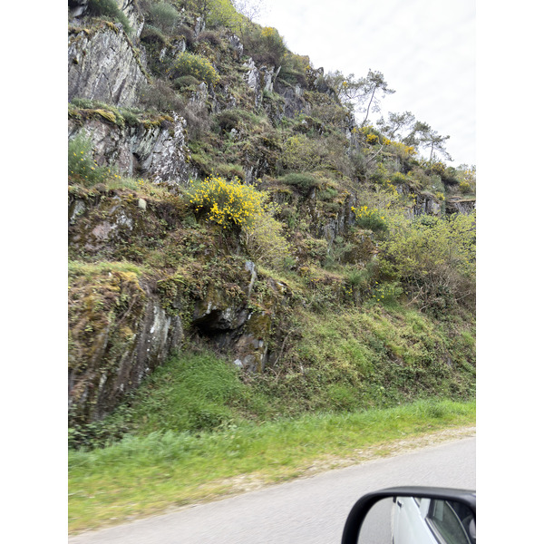 Picture France Rochefort en terre 2026-04 71 - Journey Rochefort en terre