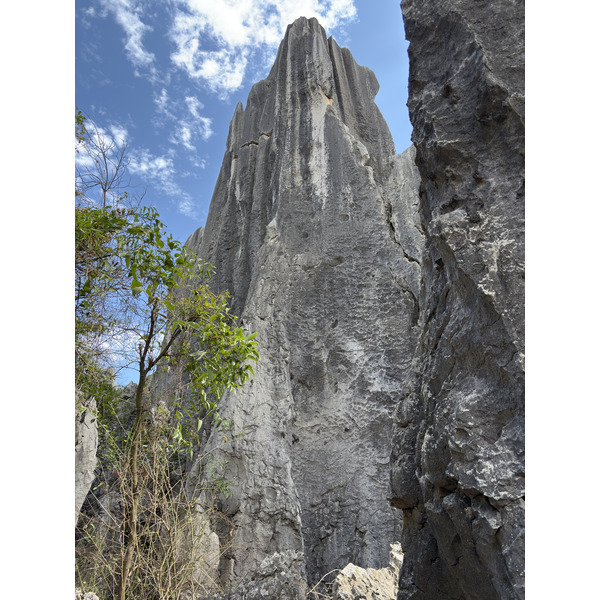 Picture China Shilin Stone Forest 2026-01 335 - Discovery Shilin Stone Forest