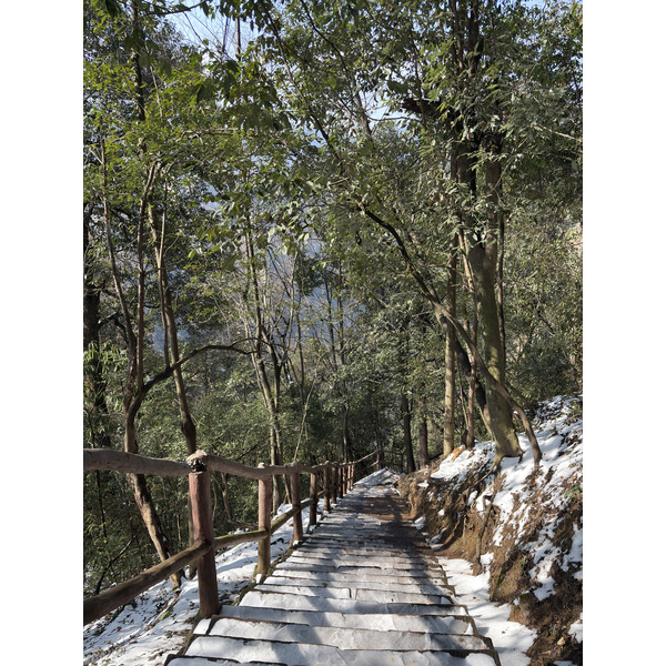 Picture China Zhangjiajie Tianzi Mountrain 2026-01 36 - Journey Tianzi Mountrain