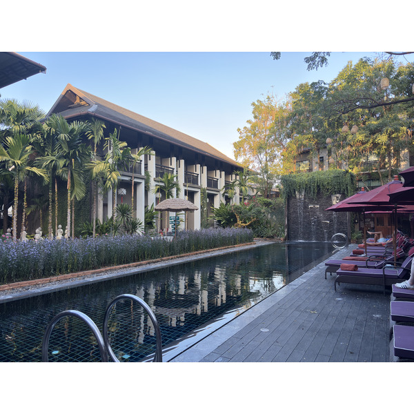 Picture Thailand Chiang Mai 2026-01 1 - Recreation Chiang Mai