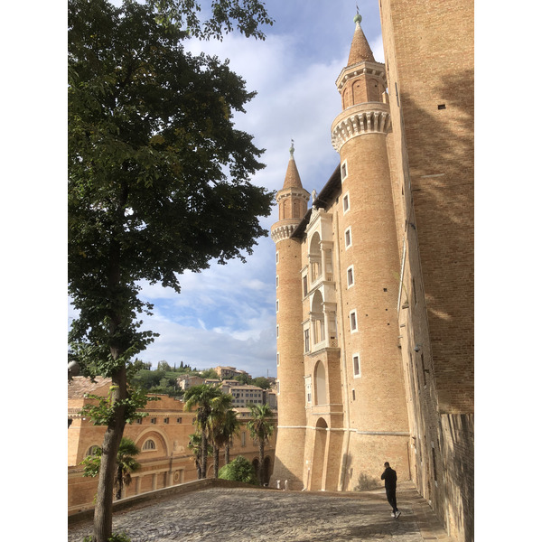 Picture Italy Urbino 2024-09 30 - Discovery Urbino