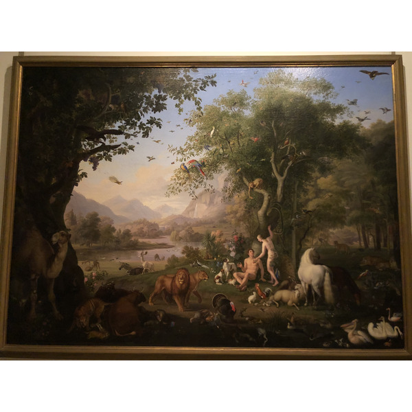 Picture Italy Rome Vatican Museum 2024-09 68 - Discovery Vatican Museum