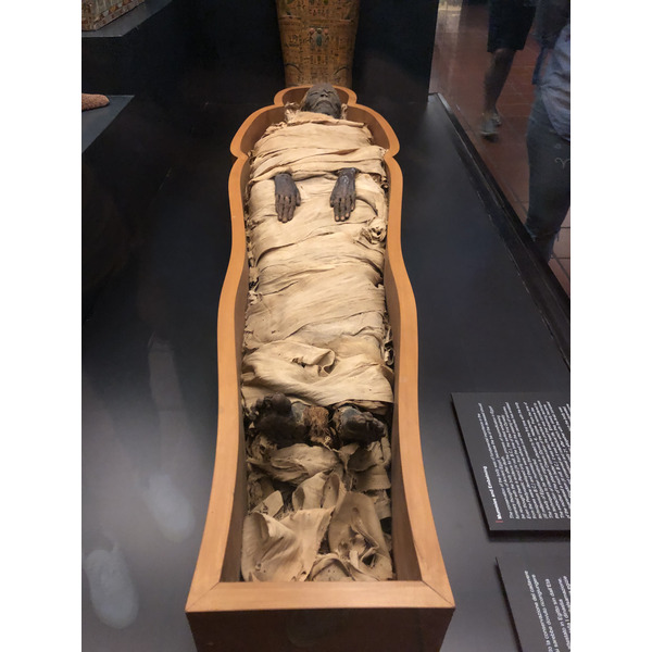 Picture Italy Rome Vatican Museum 2024-09 166 - Discovery Vatican Museum