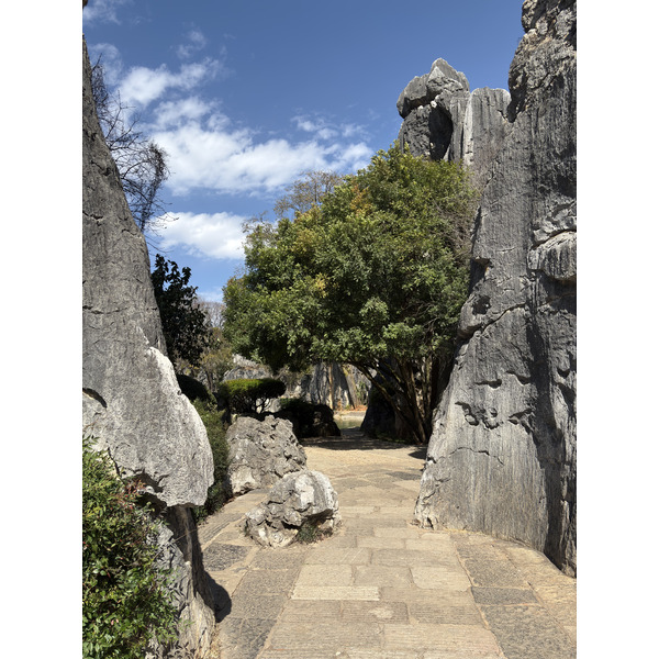 Picture China Shilin Stone Forest 2026-01 271 - Discovery Shilin Stone Forest