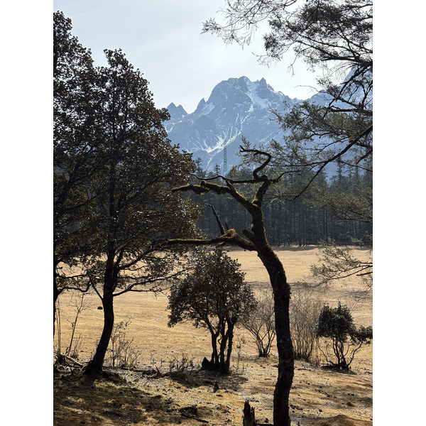 Picture China Lijiang Blue moon valley 2026-01 135 - History Blue moon valley