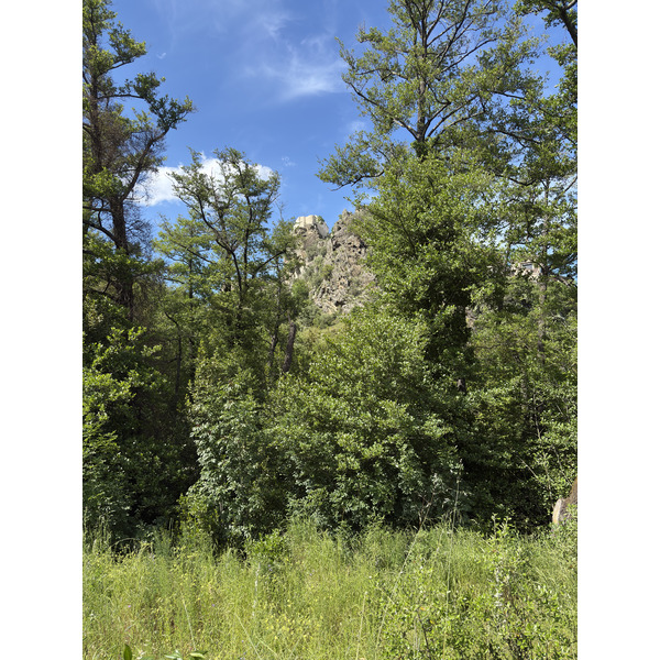 Picture France Corsica Corte 2025-06 16 - Tours Corte