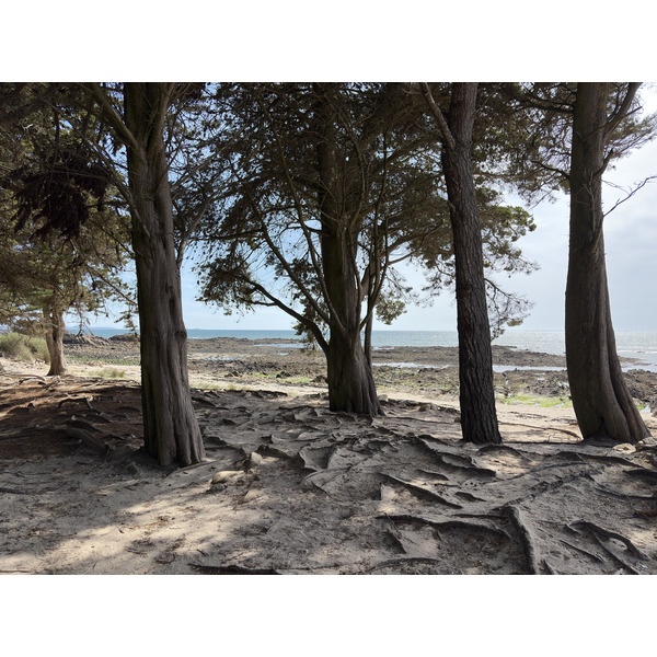 Picture France La Trinite-sur-Mer 2026-04 19 - Around La Trinite-sur-Mer