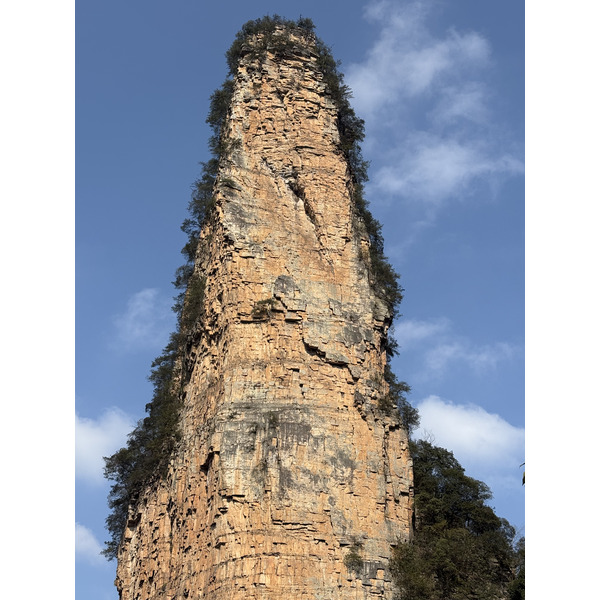 Picture China Zhangjiajie Tianzi Mountrain 2026-01 332 - Tours Tianzi Mountrain