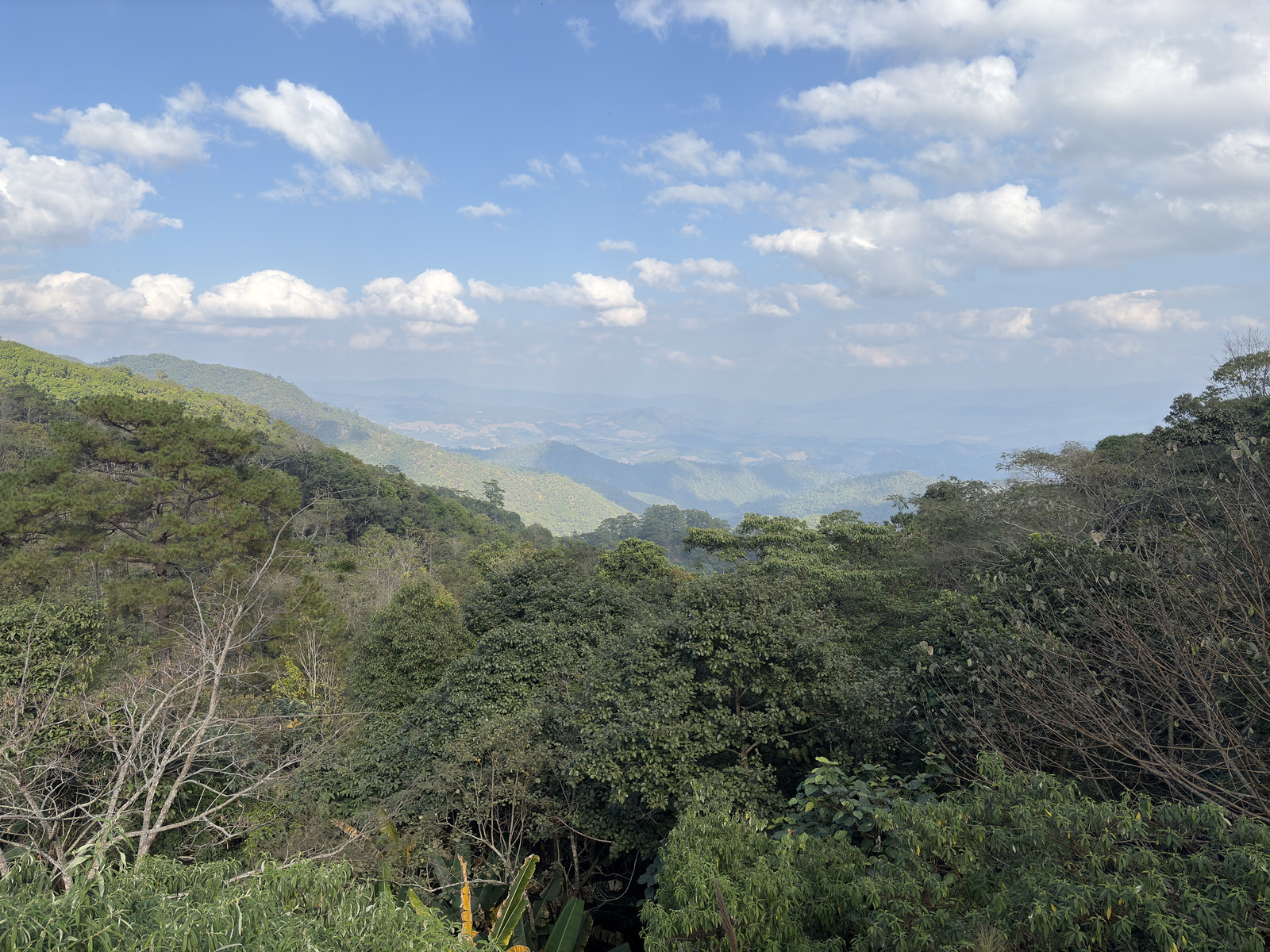 Picture Thailand Pai 2024-12 7 - Trail Pai