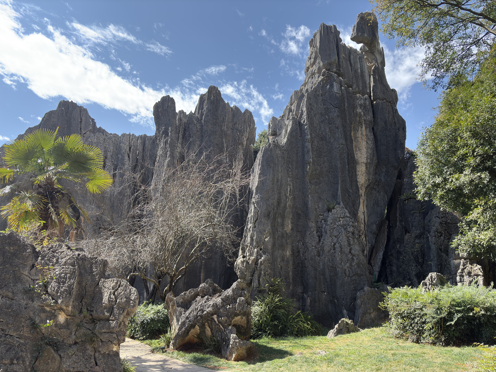 Picture China Shilin Stone Forest 2026-01 288 - Perspective Shilin Stone Forest