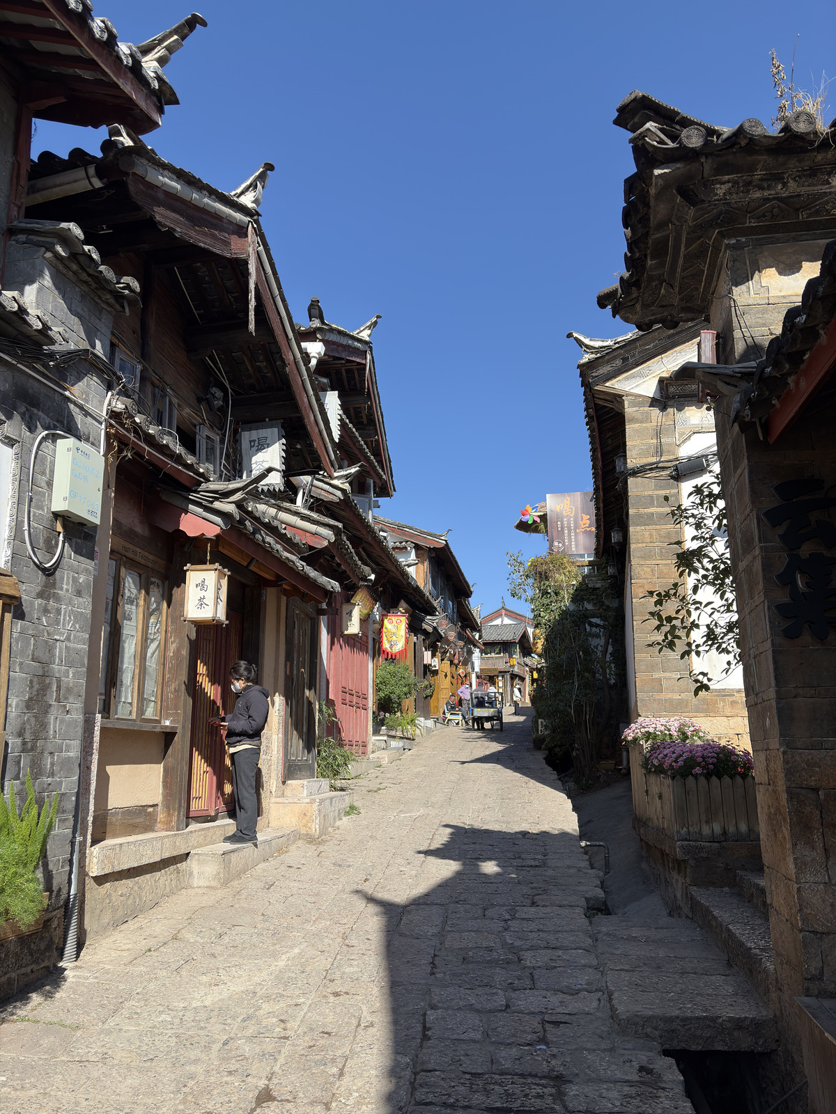 Picture China Lijiang 2026-01 515 - Photographers Lijiang