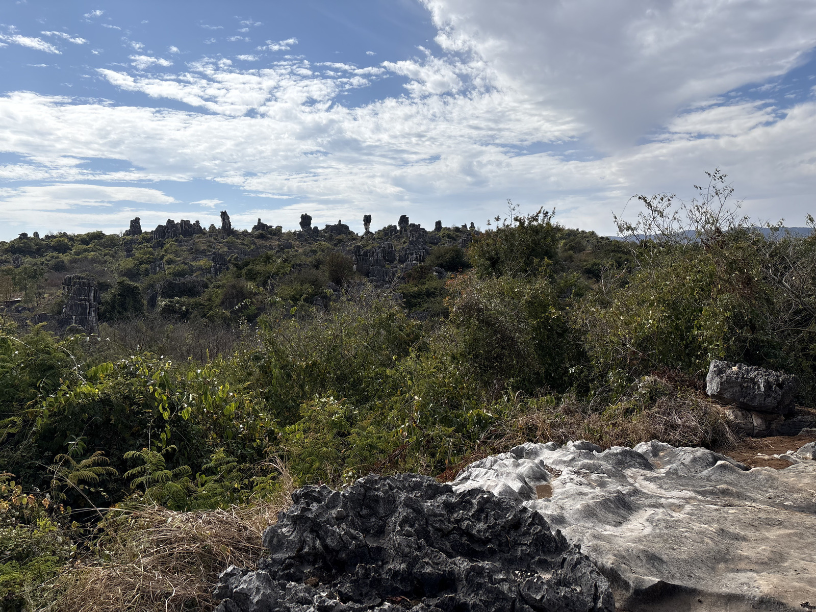 Picture China Shilin Stone Forest 2026-01 303 - Photo Shilin Stone Forest