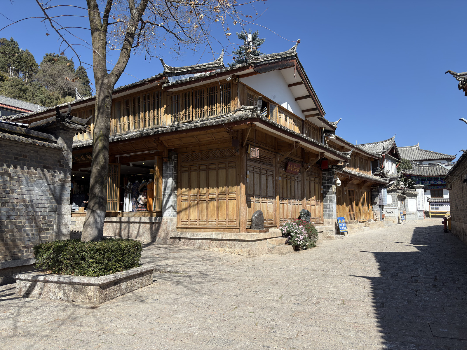 Picture China Lijiang 2026-01 845 - Trips Lijiang