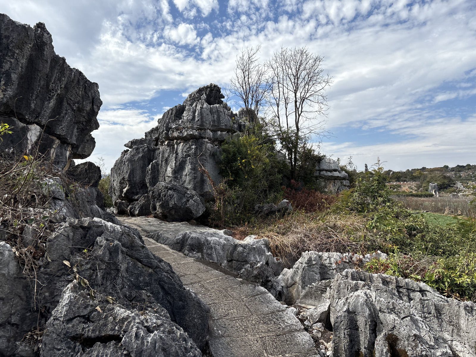 Picture China Shilin Stone Forest 2026-01 393 - Sightseeing Shilin Stone Forest