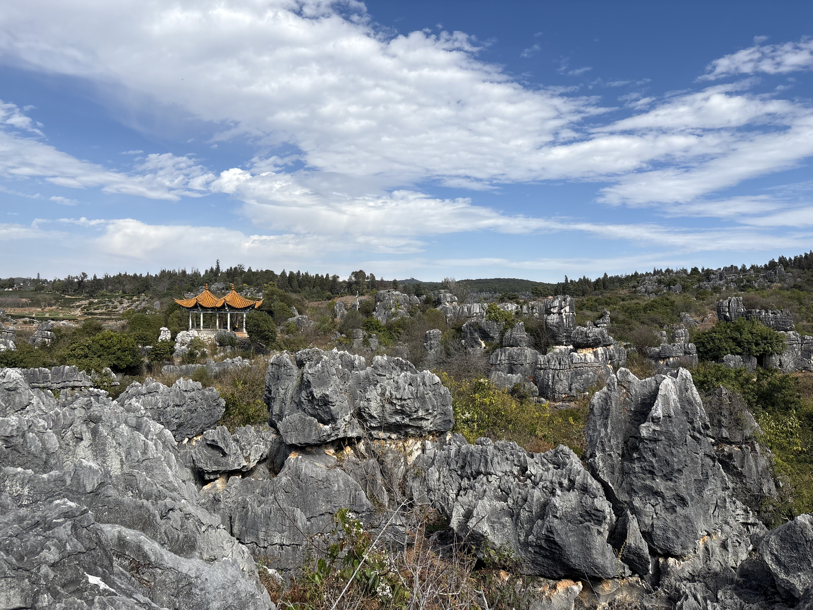 Picture China Shilin Stone Forest 2026-01 285 - Flight Shilin Stone Forest