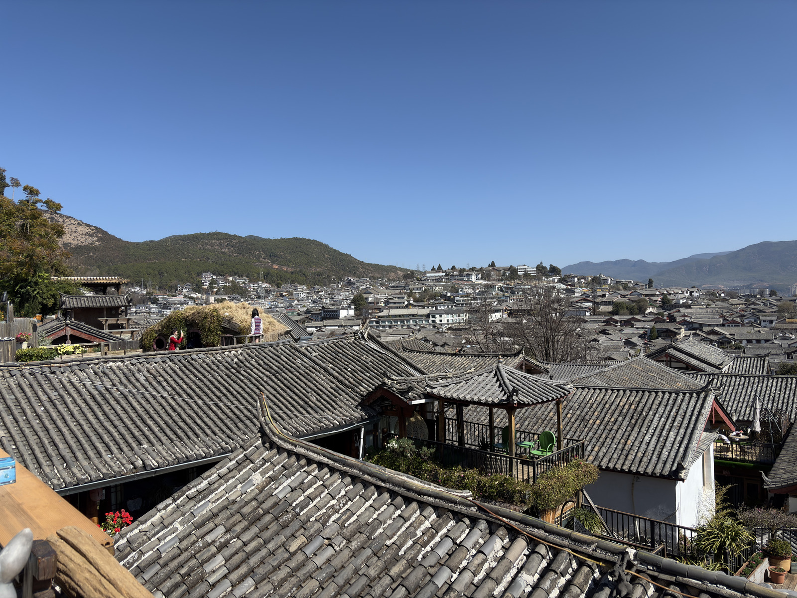 Picture China Lijiang 2026-01 448 - Picture Lijiang