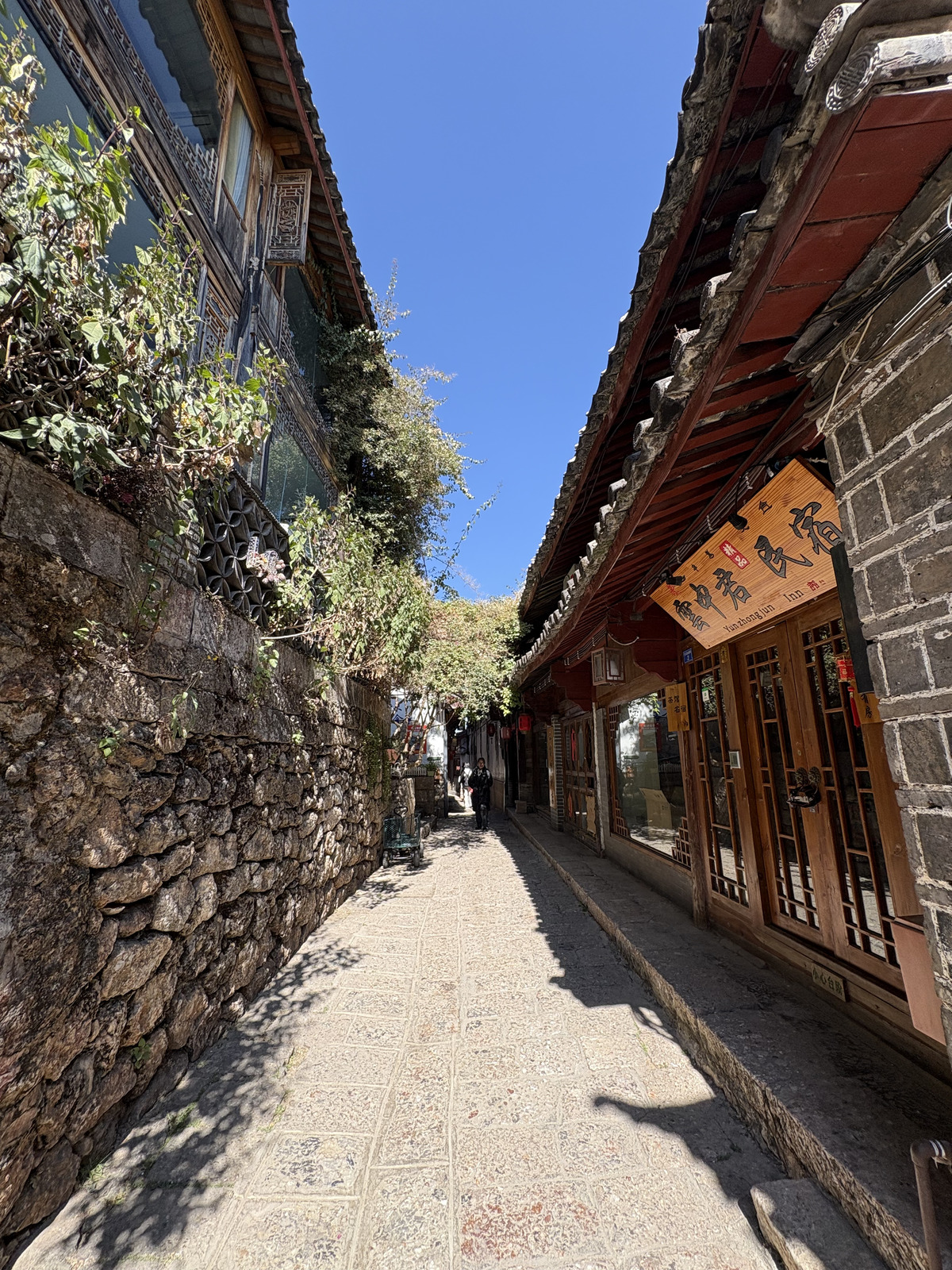 Picture China Lijiang 2026-01 442 - Pictures Lijiang