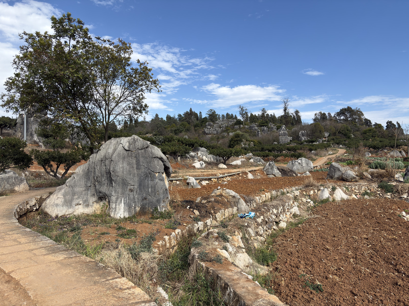Picture China Shilin Stone Forest 2026-01 201 - Trip Shilin Stone Forest