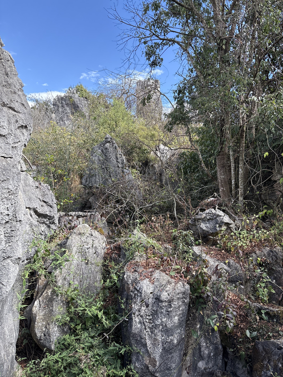 Picture China Shilin Stone Forest 2026-01 164 - Pictures Shilin Stone Forest