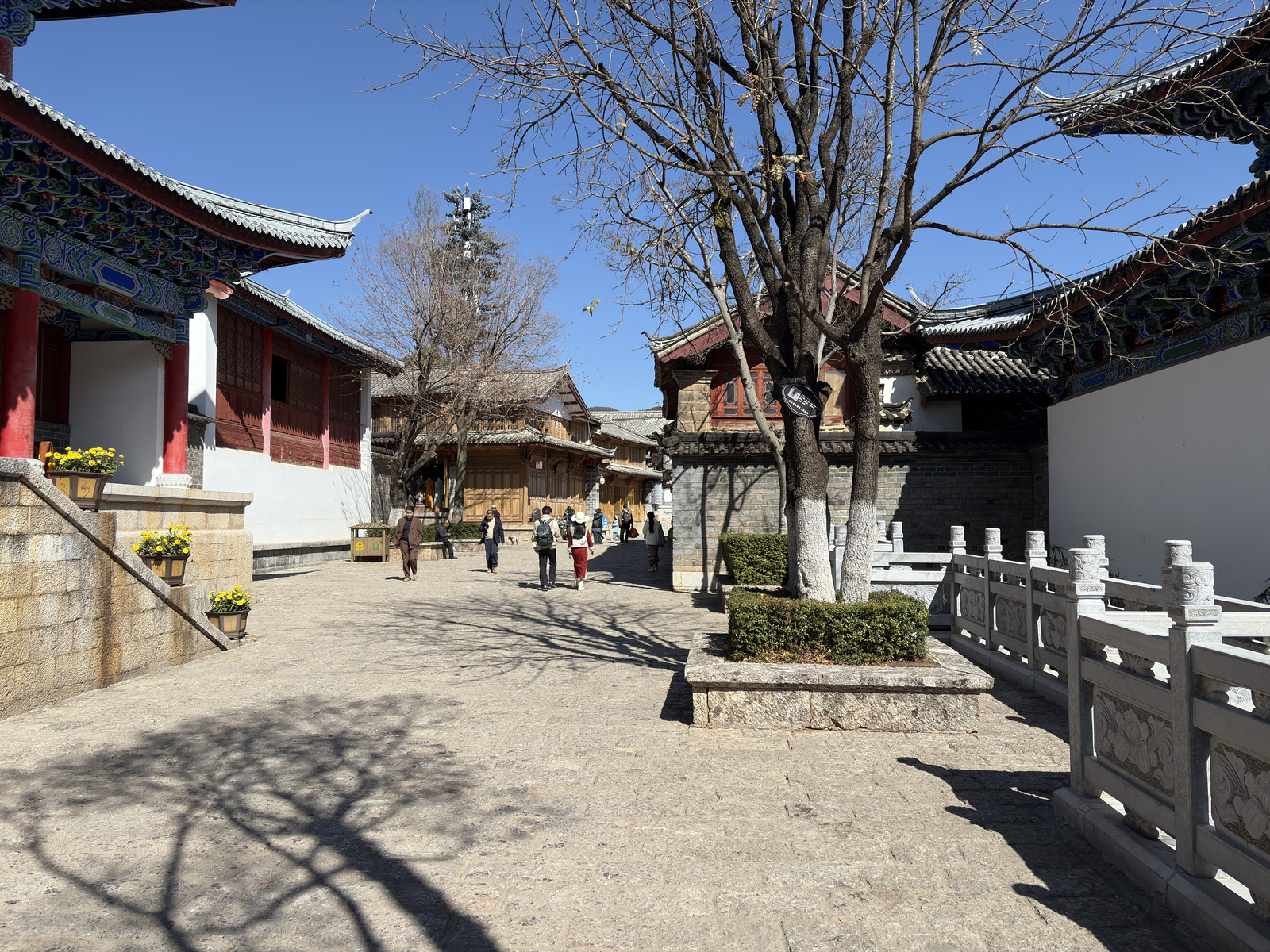 Picture China Lijiang 2026-01 354 - Randonee Lijiang