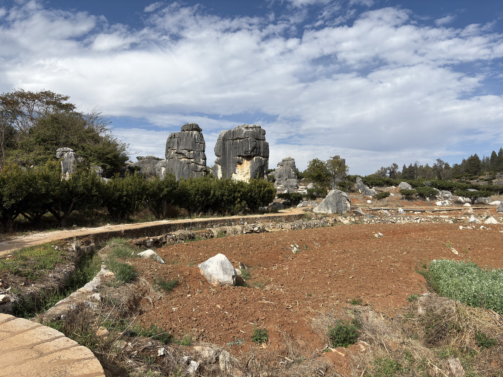 Picture China Shilin Stone Forest 2026-01 110 - Photographer Shilin Stone Forest