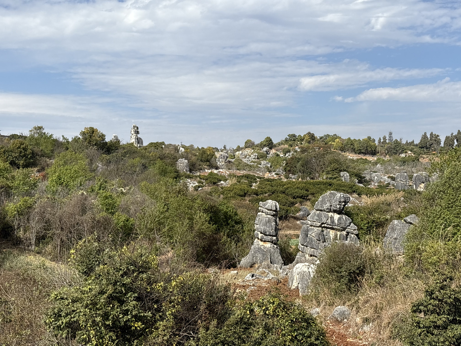 Picture China Shilin Stone Forest 2026-01 262 - Store Shilin Stone Forest