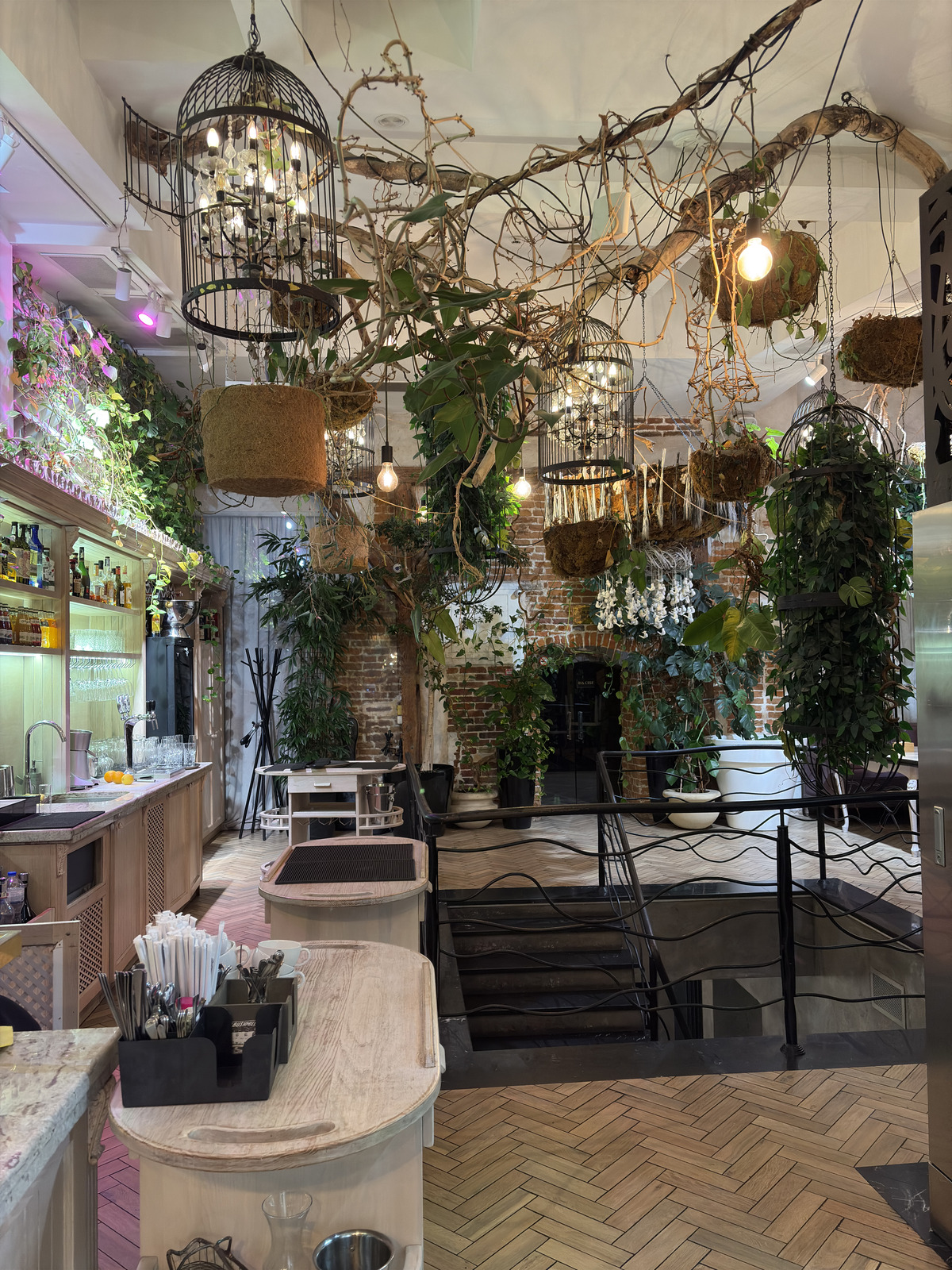 Picture Ukraine Lviv Restaurants 2024-10 119 - Pictures Restaurants