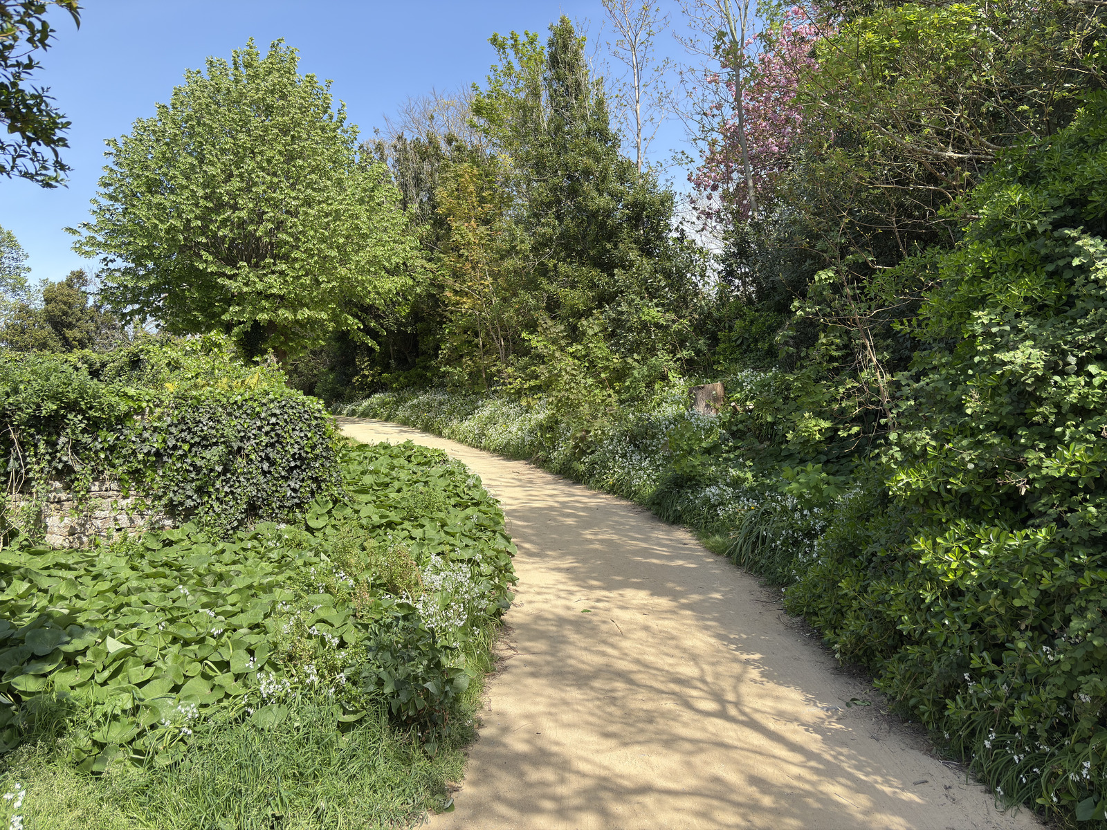 Picture France Concarneau Ville close 2026-04 100 - Pictures Ville close