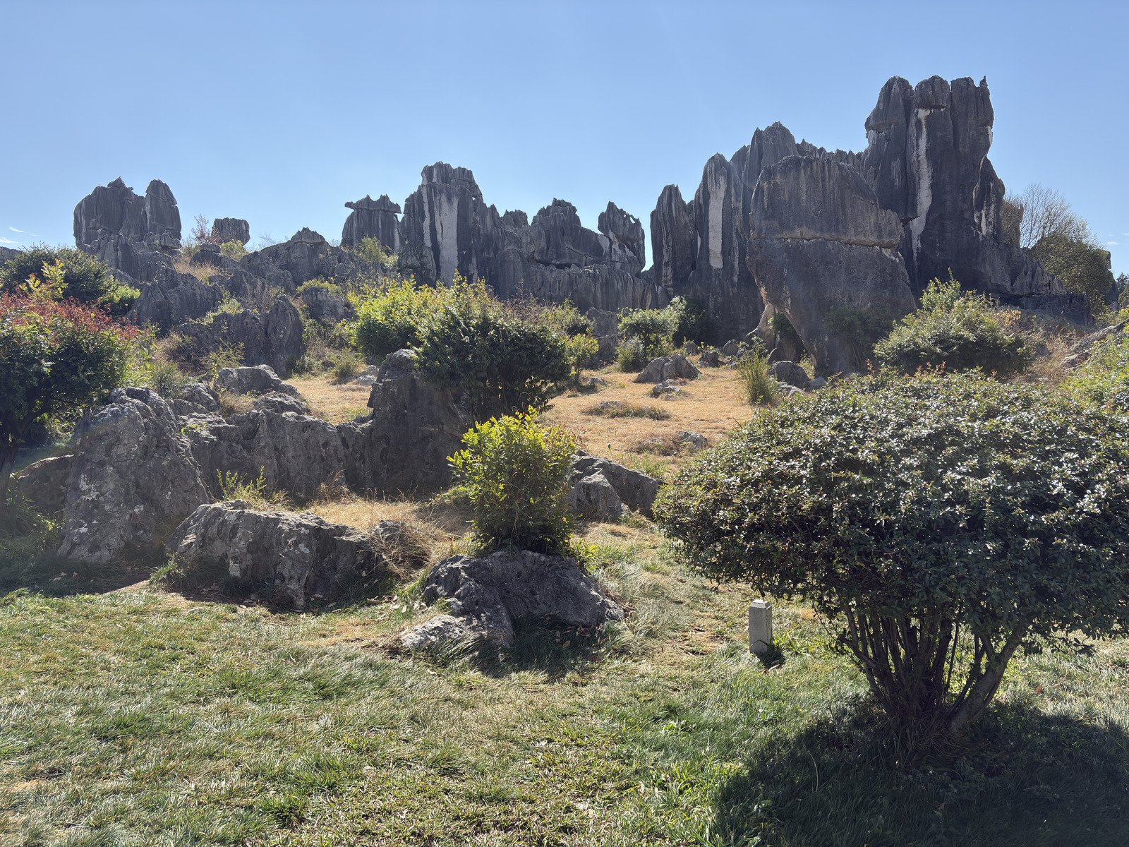 Picture China Shilin Stone Forest 2026-01 17 - View Shilin Stone Forest