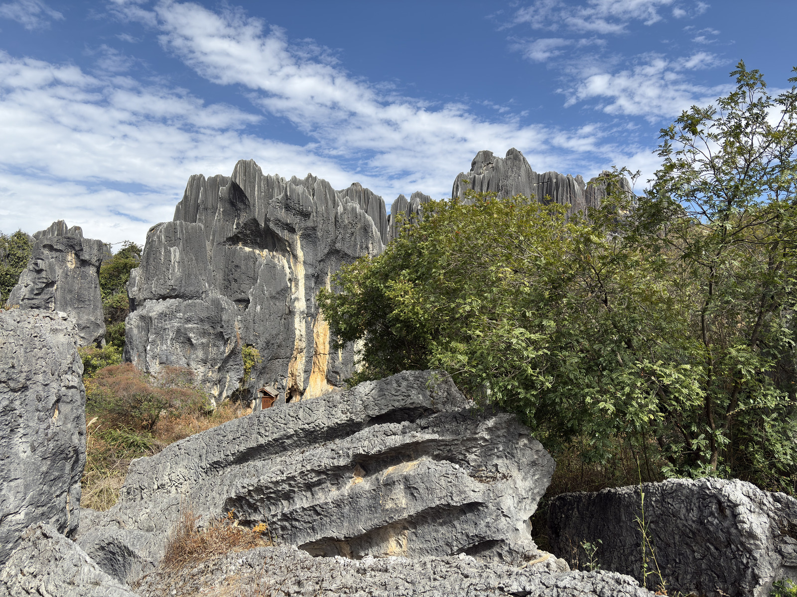 Picture China Shilin Stone Forest 2026-01 177 - Trip Shilin Stone Forest